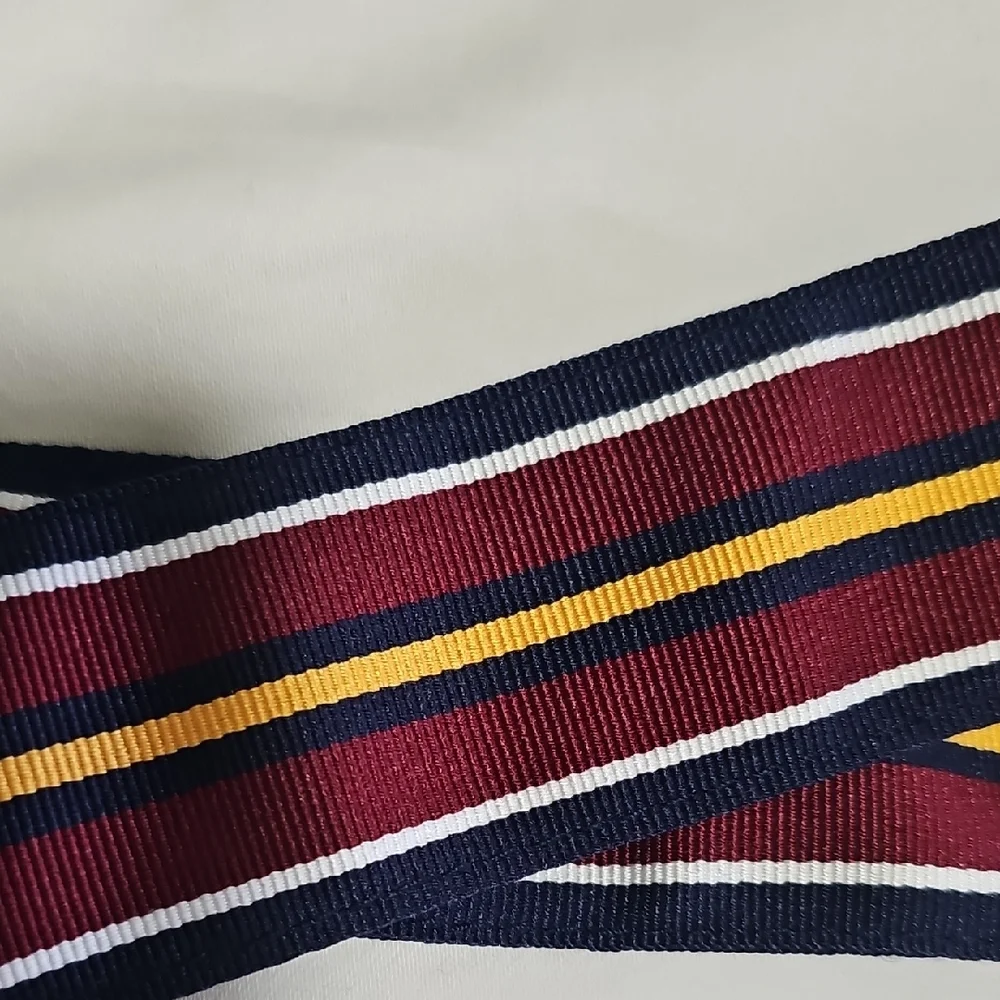 Polo by Ralph Lauren Multicolor Striped Belt_4